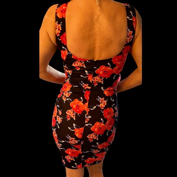 Meet your Posher, Starla - Picture 12 of 14